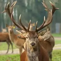 386231817_699152322253503_8789756098968119408_n